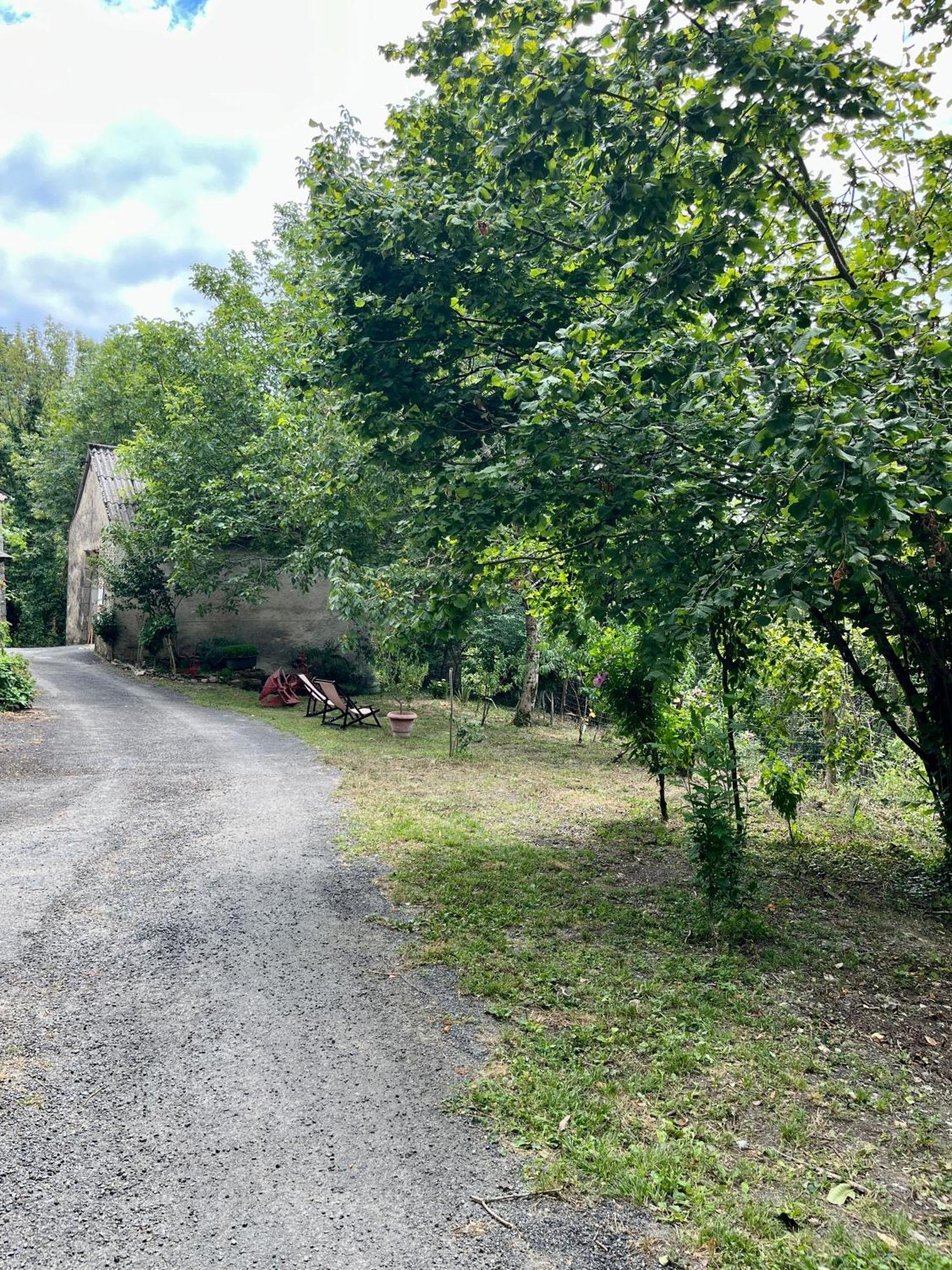 Parenthese En Foret - Lodge Baliveau Le Bez (Tarn) Exterior foto