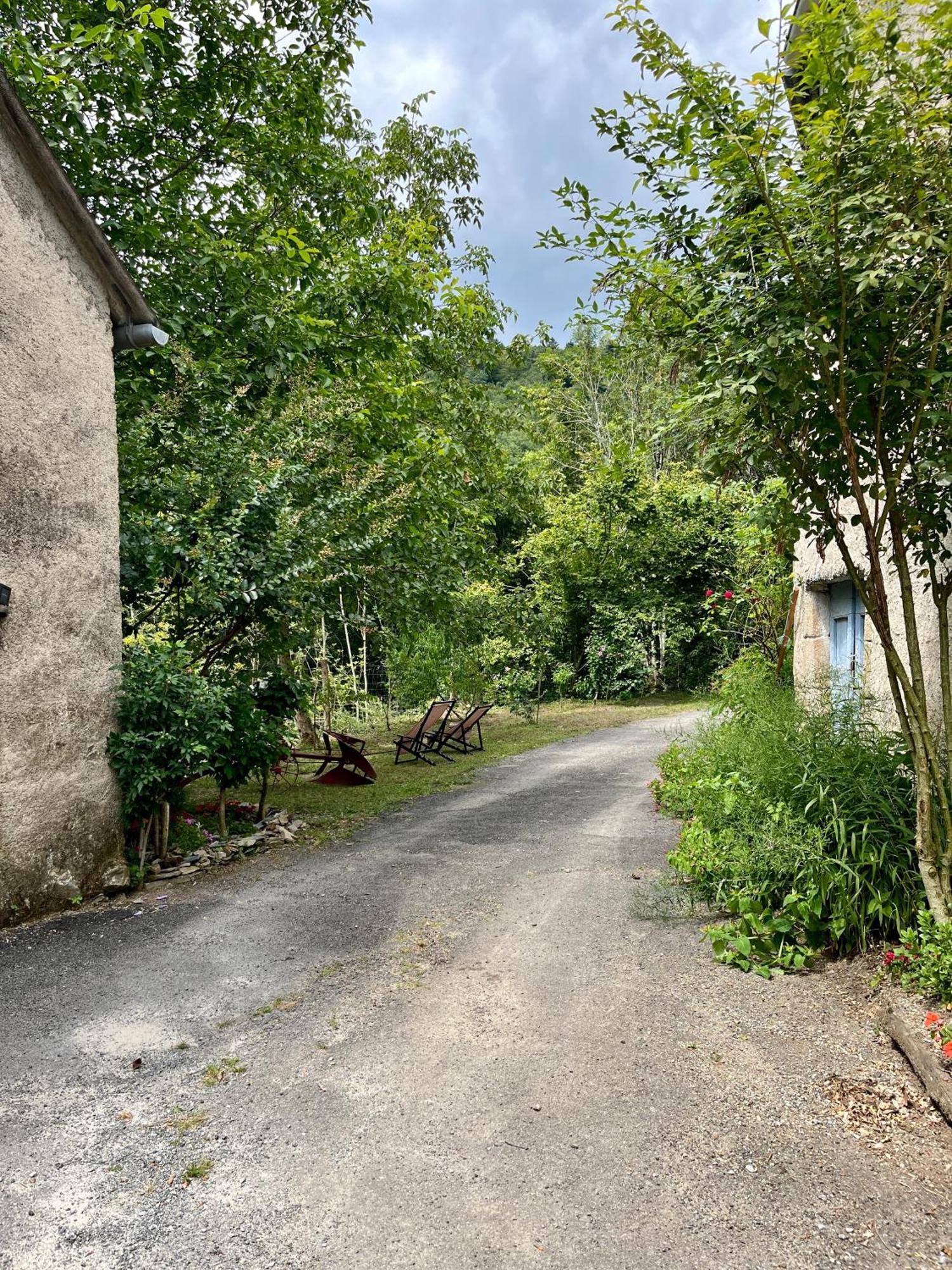 Parenthese En Foret - Lodge Baliveau Le Bez (Tarn) Exterior foto
