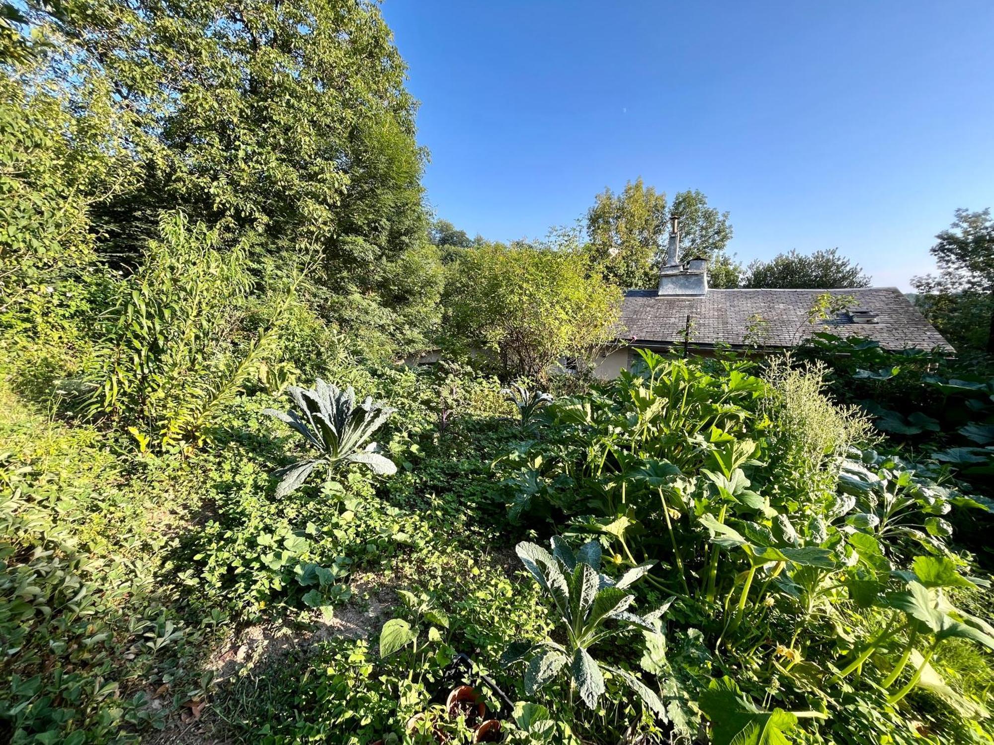 Parenthese En Foret - Lodge Baliveau Le Bez (Tarn) Exterior foto