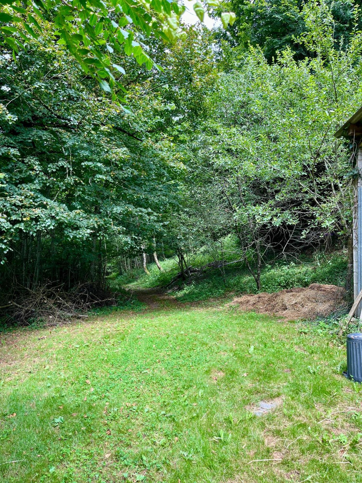 Parenthese En Foret - Lodge Baliveau Le Bez (Tarn) Exterior foto